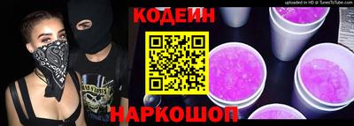 индика Гатчина