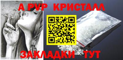 индика Гатчина