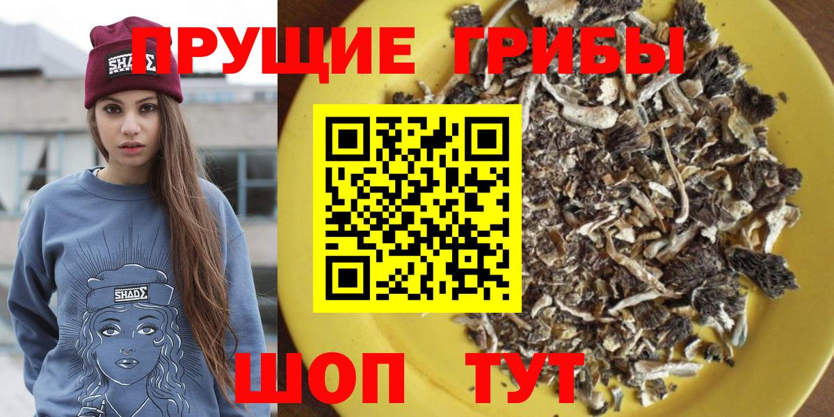 магазин    Псилоцибиновые грибы Psilocybe  Псилоцибиновые грибы прущие грибы  Вход с VPN  Владивосток 
